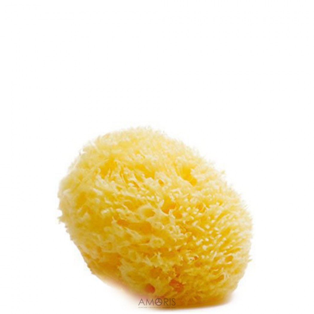 Acca Kappa Средиземноморская губка